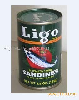 canned sardine in tomato paste