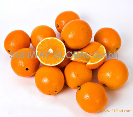 Fresh Navel Orange (48/56/64/72/80/88/100/113) - China Navel Orange, Fruit