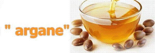  argan   oil 