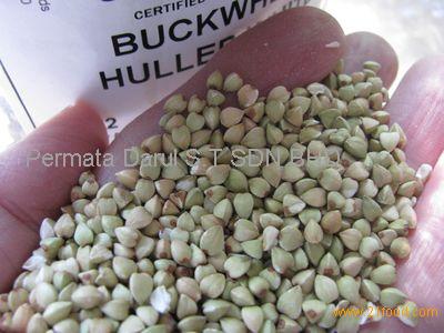 Hulled Buckwheat