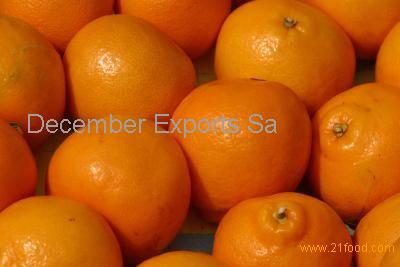 SOUTH AFRICAN FRESH NAVAL ORANGES,South Africa NAVAL ORANGE price ...