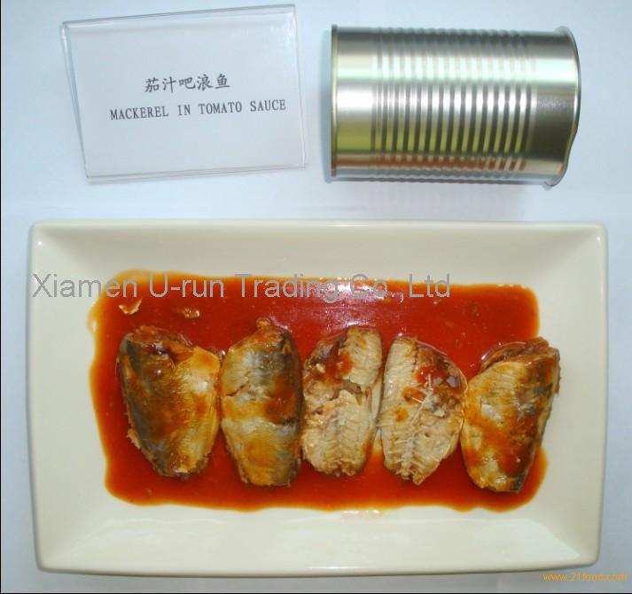 Canned mackerel in tomato sauce