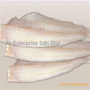 Frozen Haddock Fillets Malaysia Price Supplier 21food