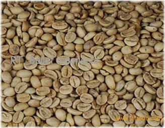 indonesia sumatra coffee beans