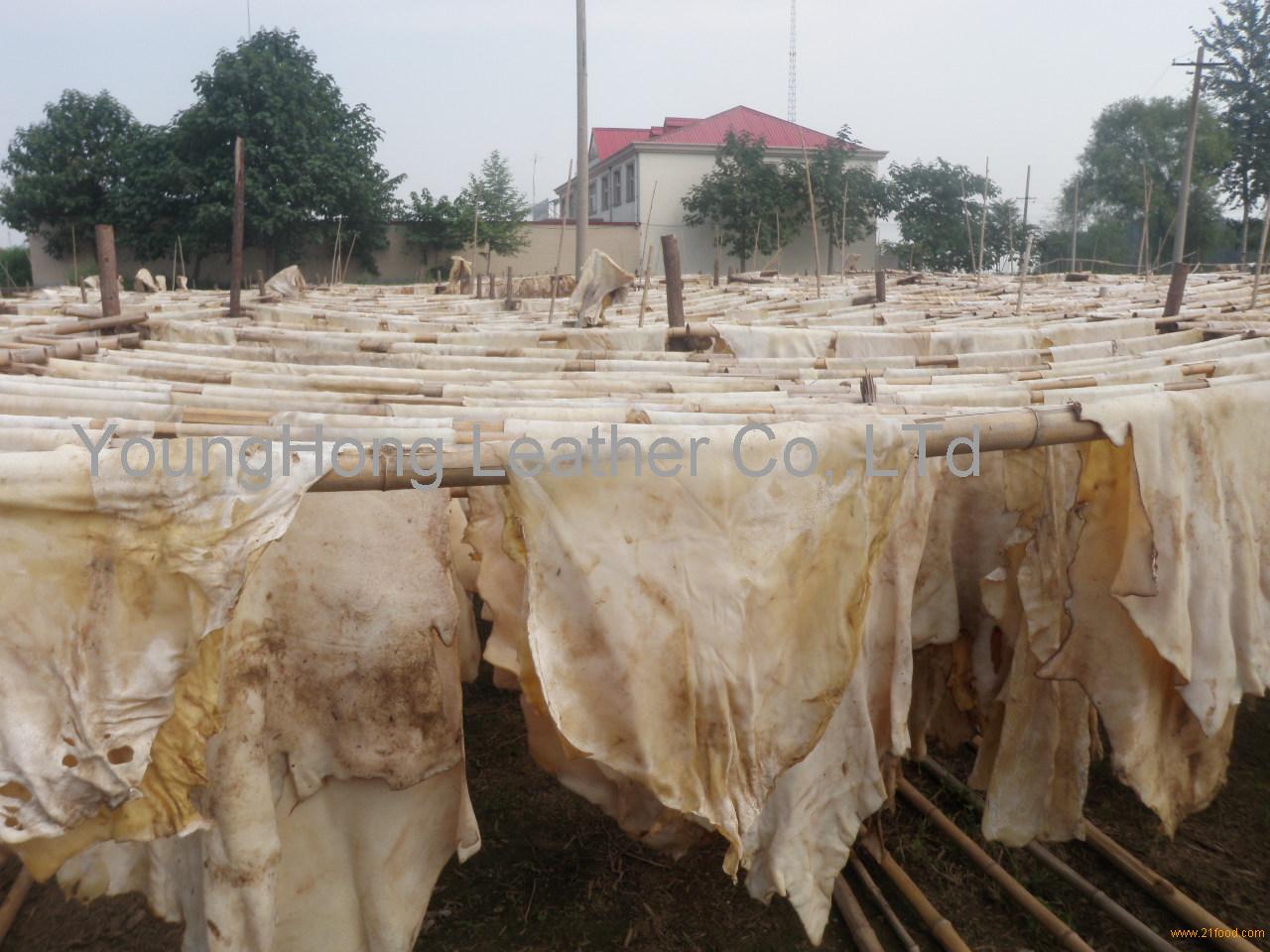 the dry cow hide lime splits kulit sapi kering for rambak crackers,