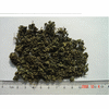  Gynostemma 