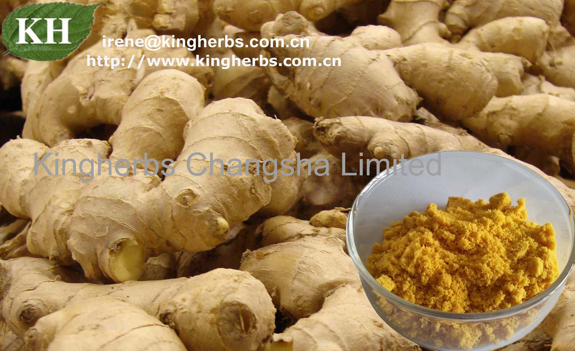 Ginger Extract Gingerols 5% to 20% Test By HPLC