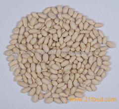 Blanched Peanut Kernels