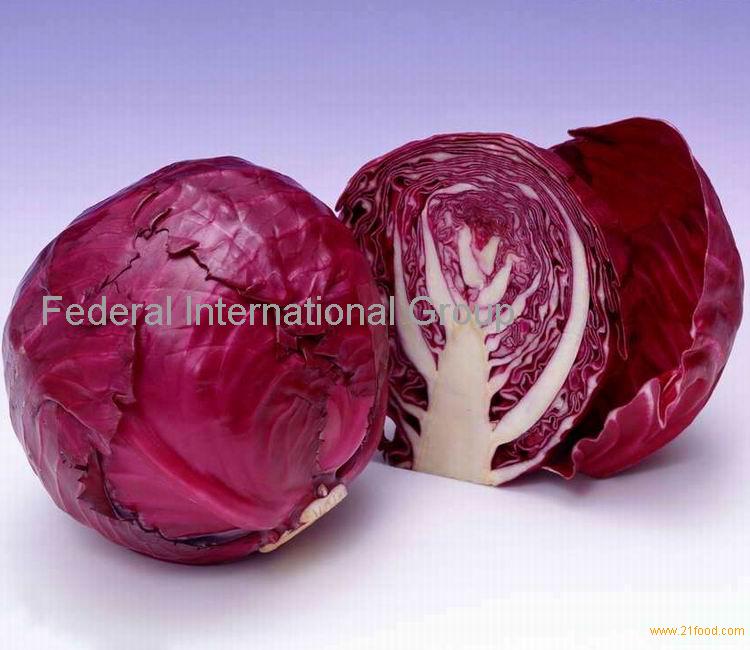 Purple cabbage pigment, cabbage color, cabbage red pigment