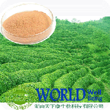 Green  Tea  Extract / 30%-98% EGCG | Catechin 98%
