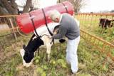 Argentinean agricultural trade income will hit new peak