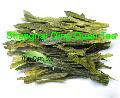 Money  king   tea  special green  tea  of China