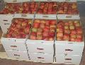 Apples Idared from Macedonia!