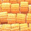 frozen Sweet corn