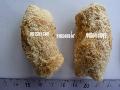 Soy protein textured