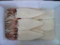  Squid   tubes & tentacles 