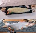  Basa  fish