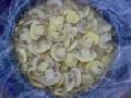 mushroom in vinegar
