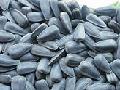 BLACK SUNFLOWER SEEDS