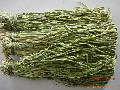 Fresh gong cai,Good Taigan