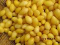 Keep fresh ginkgo kernel