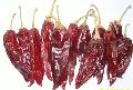 American red chilli II