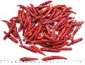  Red  chilli