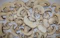  dried   champignon ,
