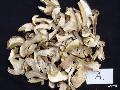Dried boletus edulis