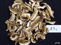  Dried   boletus  edulis AT1