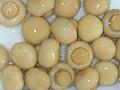  Canned   mushroom s  whole 