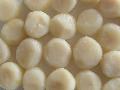 Canned water chestnut whole