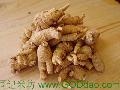 American Ginseng