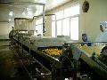 fruit and vegetable washing and packing production line