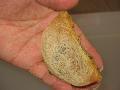 #003 Edible Bird Nest ( RAW )