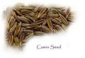 cumin seeds