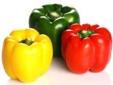 Short Pepper