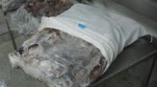 Squid wings