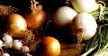 Manufactures & Exporters Dehydrated Vegetables