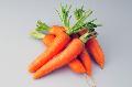Carrot