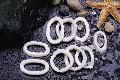 suid ring