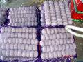 chinese pure white garlic new crop 2015