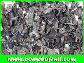 Dried black fungus