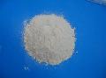 wheat gluten