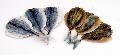  Dried   Yellow   Stripe   Trevally 