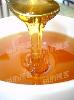Molasses Sugarcane