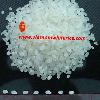 Round grain rice 5% broken - High quality