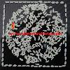  Short   grain   white   rice  5%  broken  - Sortxed Grade A
