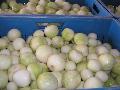Hand  peeled   onions 