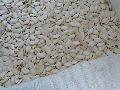 Fresh Crop A Grade Snow White Pumpkin Seeds